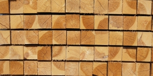 Dřevo ve stavebnictví