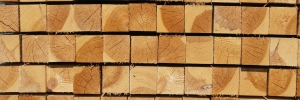 Jsou dřevostavby cestou k trvale udržitelnému stavebnictví?