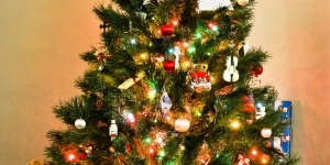 Jaký zvolit vánoční strom. Živý nebo umělý?