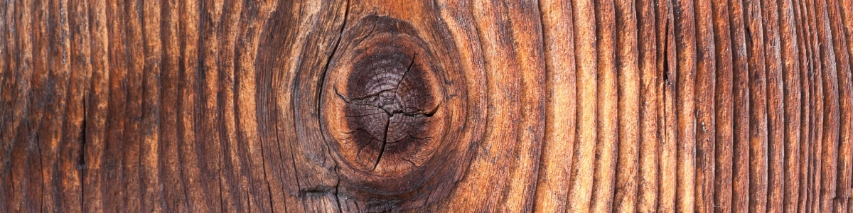 Tepelně-izolační vlastnosti dřeva a dřevostaveb