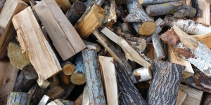 Dřevo jako zdroj energie