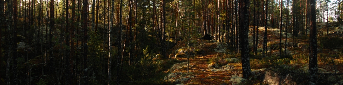 Typy přirozených porostů (biomů) světa i v ČR